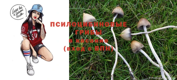 гидра Аркадак