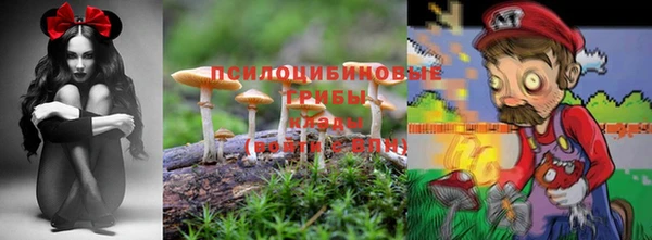 метамфетамин Заводоуковск