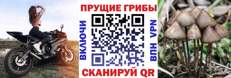 Псилоцибиновые грибы GOLDEN TEACHER  где можно купить   Рассказово 